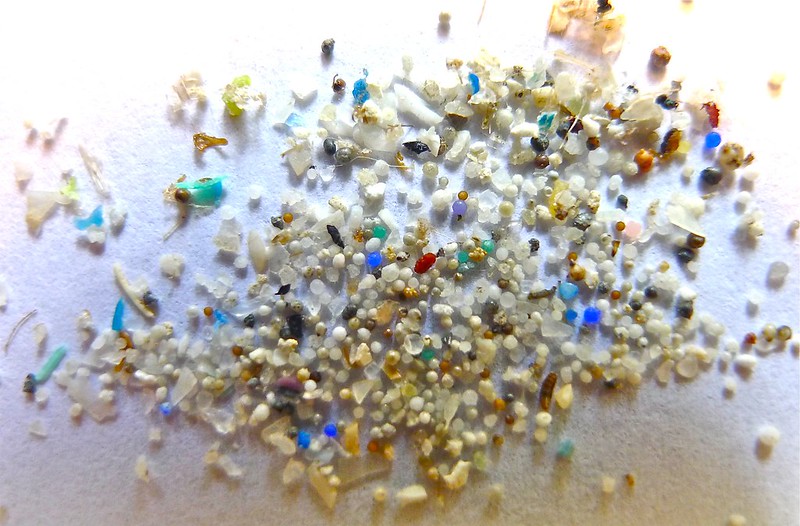 Microplastics - Image by 5Gyres, courtesy of Oregon State University